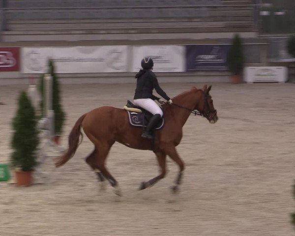 Reitturnier Aachen 2023
