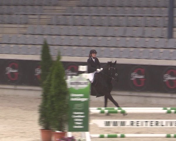 Reitturnier Aachen 2023