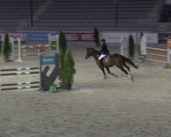 Reitturnier Aachen 2023