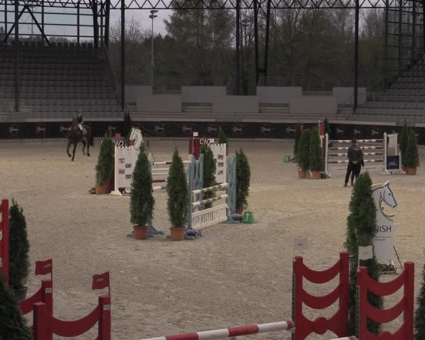 Reitturnier Aachen 2023