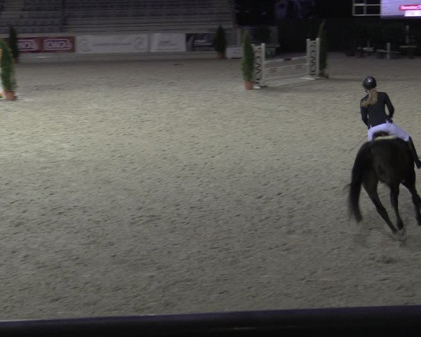 Reitturnier Aachen 2023