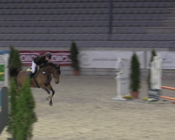 Reitturnier Aachen 2023