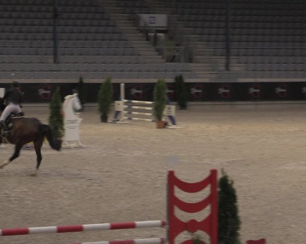 Reitturnier Aachen 2023
