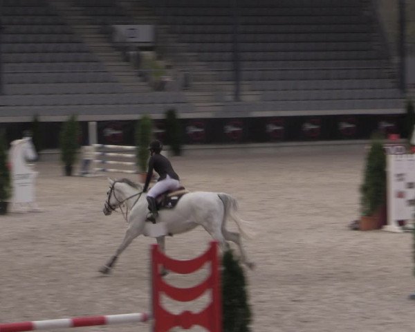 Reitturnier Aachen 2023