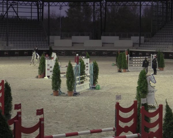 Reitturnier Aachen 2023