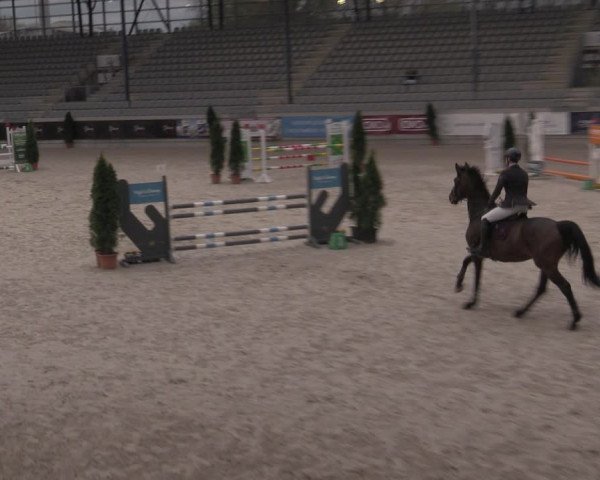Reitturnier Aachen 2023