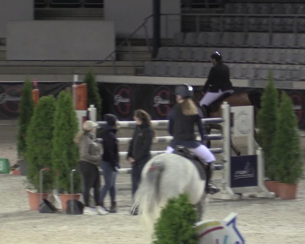 Reitturnier Aachen 2023