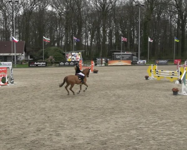 Reitturnier Klein Roscharden 2023