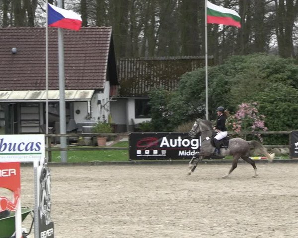Reitturnier Klein Roscharden 2023