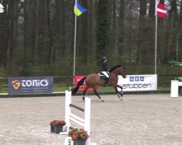 Reitturnier Klein Roscharden 2023