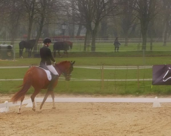 Reitturnier Wutzetz 2023