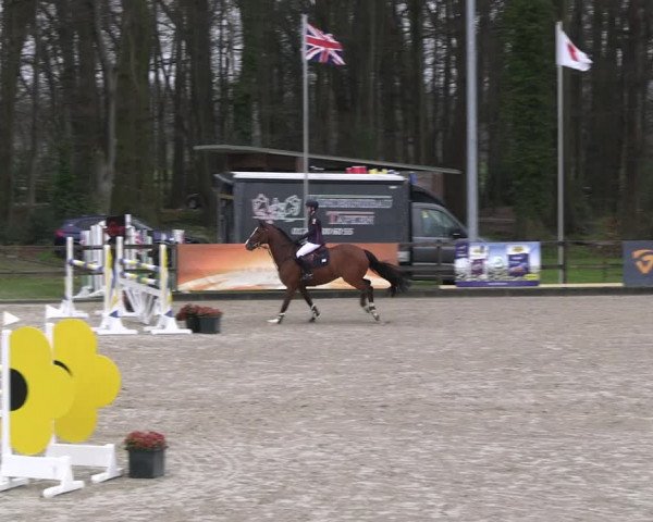 Reitturnier Klein Roscharden 2023