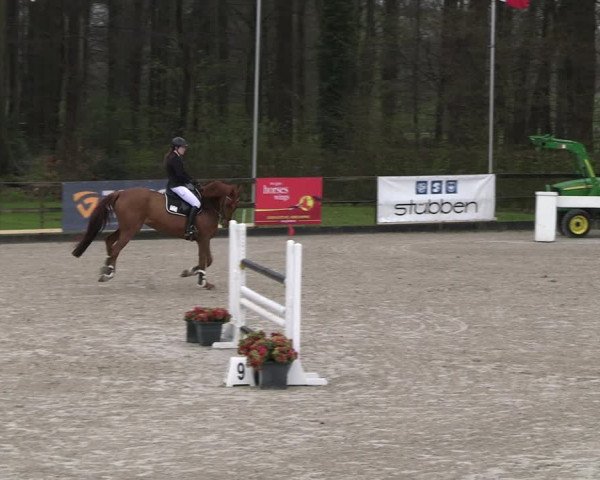 Reitturnier Klein Roscharden 2023