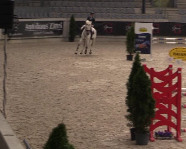 Reitturnier Aachen 2023