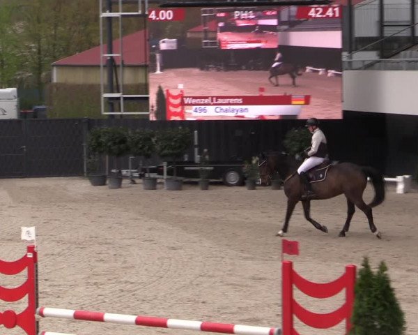 Reitturnier Aachen 2023