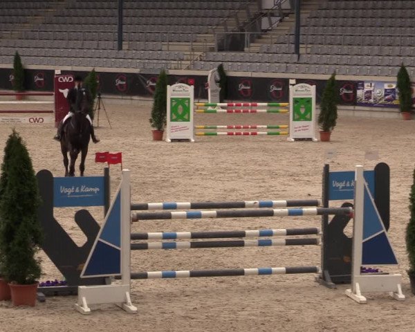 Reitturnier Aachen 2023