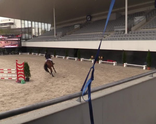 Reitturnier Aachen 2023