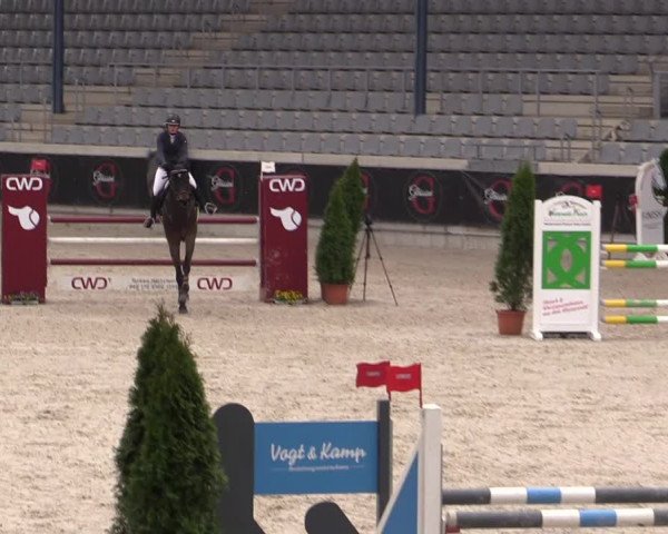 Reitturnier Aachen 2023