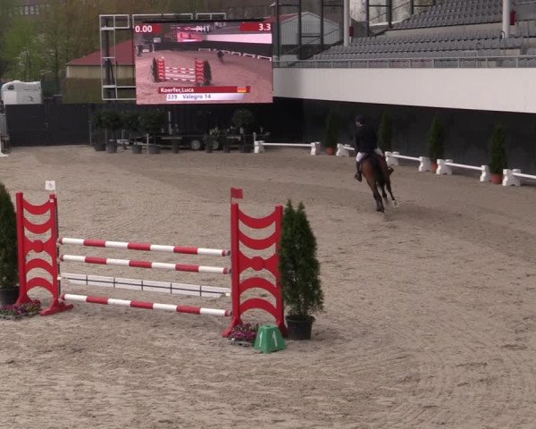 Reitturnier Aachen 2023