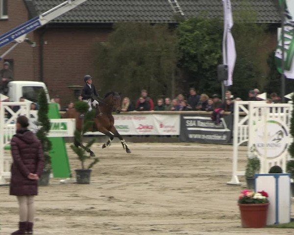 Reitturnier Werne-Lenklar 2023