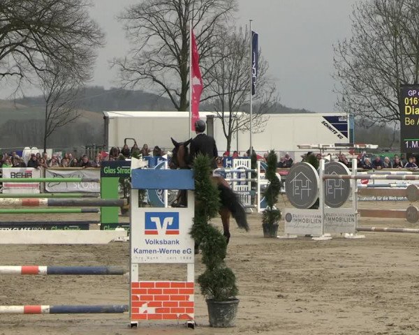 Reitturnier Werne-Lenklar 2023
