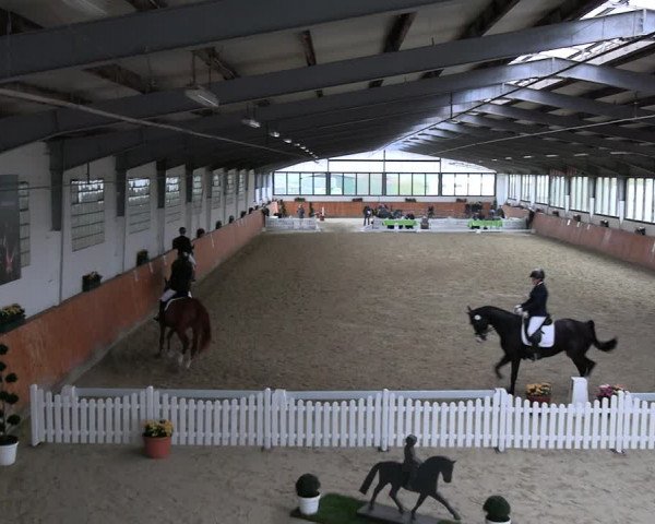Reitturnier Werne-Lenklar 2023