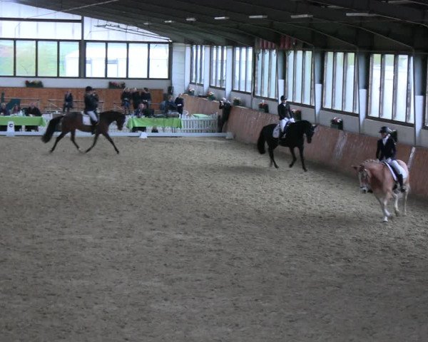 Reitturnier Werne-Lenklar 2023