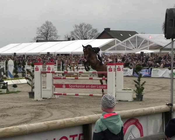 Reitturnier Werne-Lenklar 2023