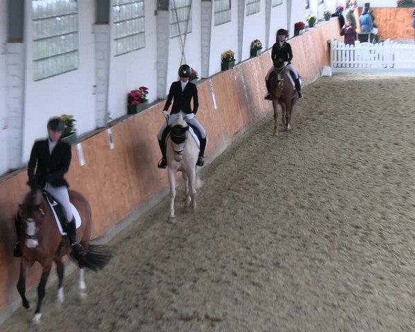 Reitturnier Werne-Lenklar 2023