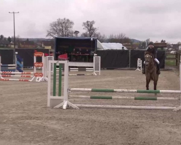 Reitturnier Poxdorf/Ofr 2023