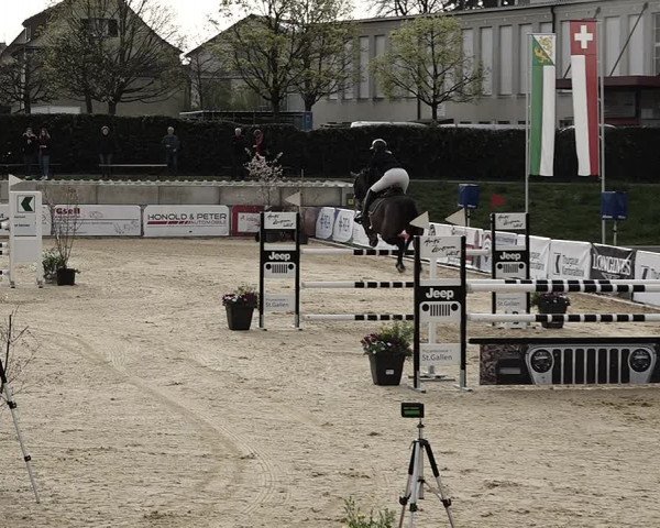 Reitturnier Amriswil 2023