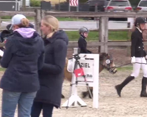 Reitturnier Poxdorf/Ofr 2023