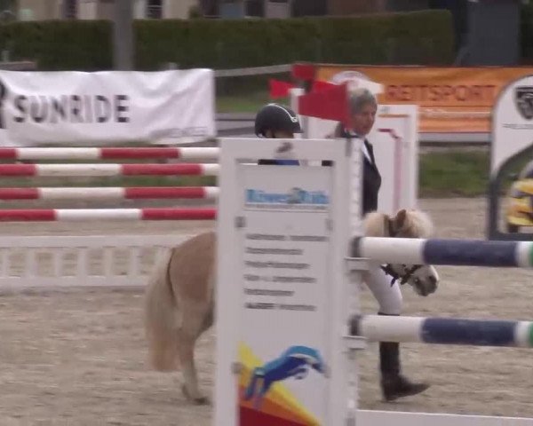 Reitturnier Poxdorf/Ofr 2023