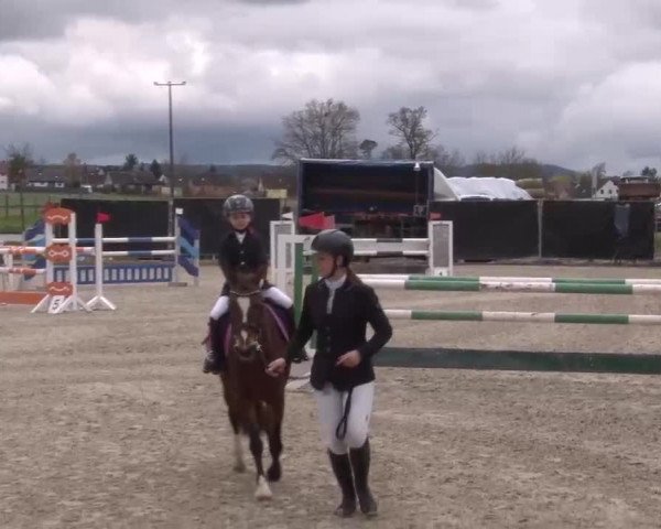 Reitturnier Poxdorf/Ofr 2023