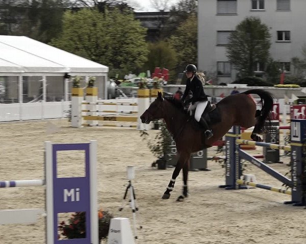 Reitturnier Amriswil 2023