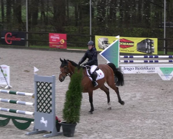Reitturnier Klein Roscharden 2023