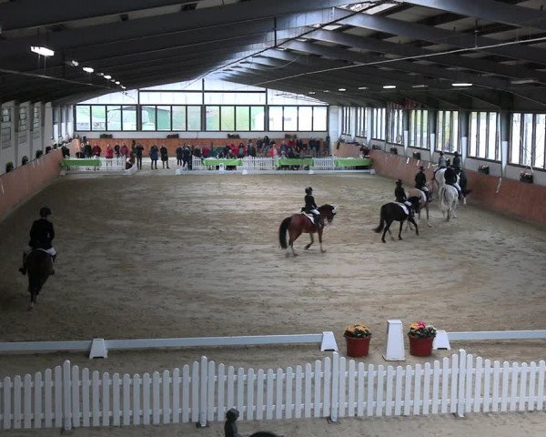Reitturnier Werne-Lenklar 2023