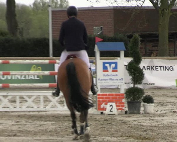 Reitturnier Werne-Lenklar 2023