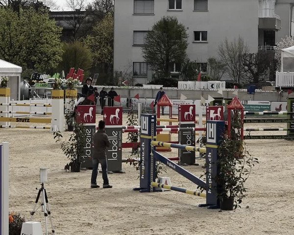 Reitturnier Amriswil 2023