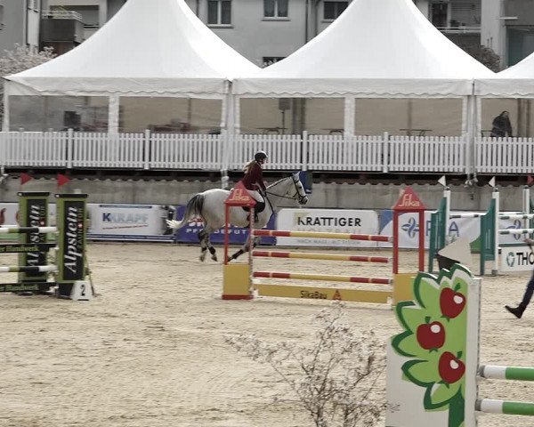 Reitturnier Amriswil 2023