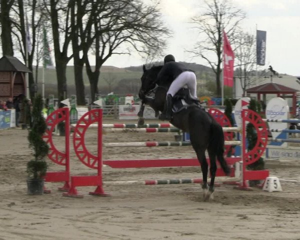 Reitturnier Werne-Lenklar 2023