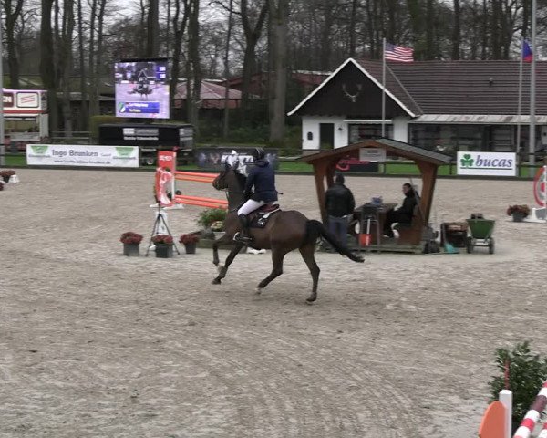 Reitturnier Klein Roscharden 2023
