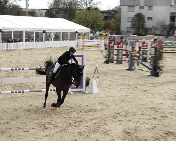 Reitturnier Amriswil 2023