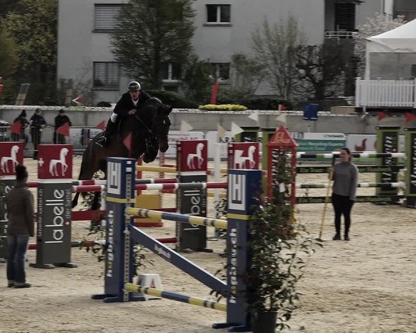 Reitturnier Amriswil 2023
