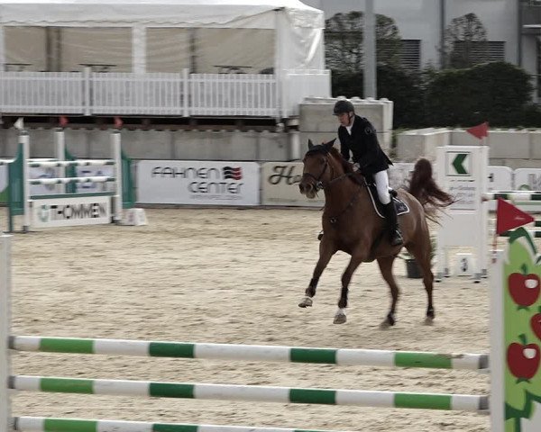 Reitturnier Amriswil 2023