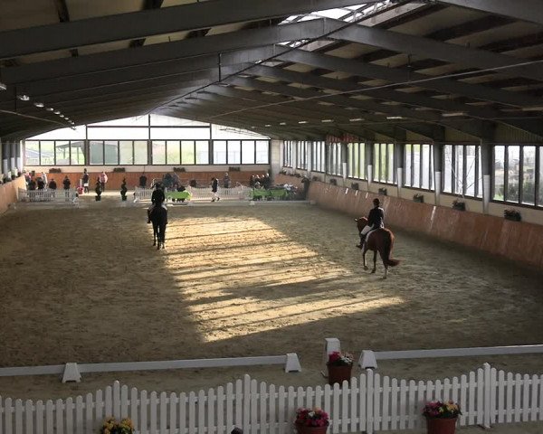 Reitturnier Werne-Lenklar 2023