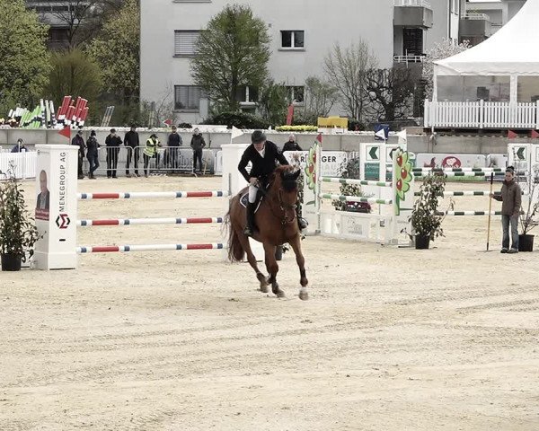 Reitturnier Amriswil 2023