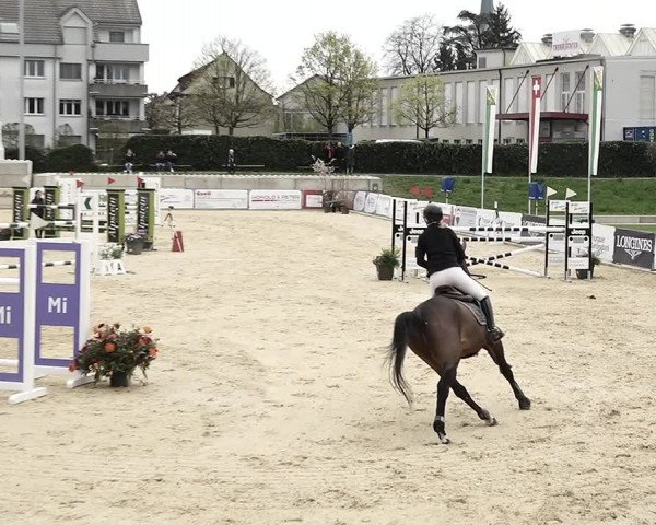 Reitturnier Amriswil 2023