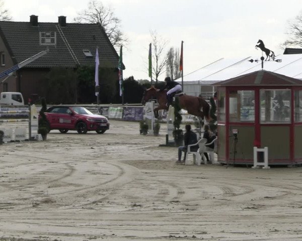 Reitturnier Werne-Lenklar 2023