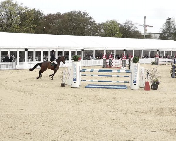Reitturnier Amriswil 2023